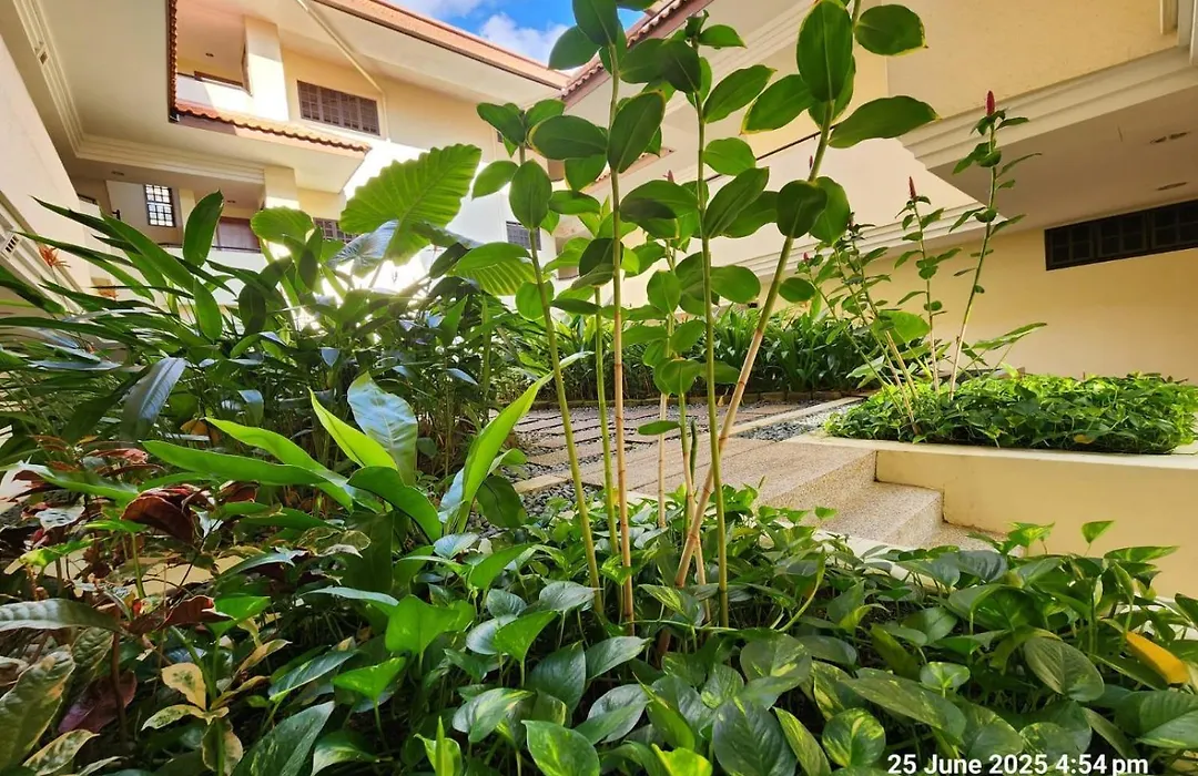 Alocassia Serviced Apartments-1