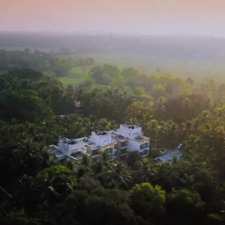 Treehouse Blue, Hotel & Serviced Apartments-3