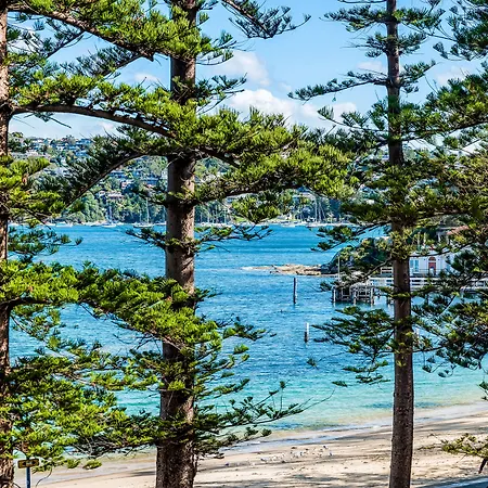 Quest Manly-2