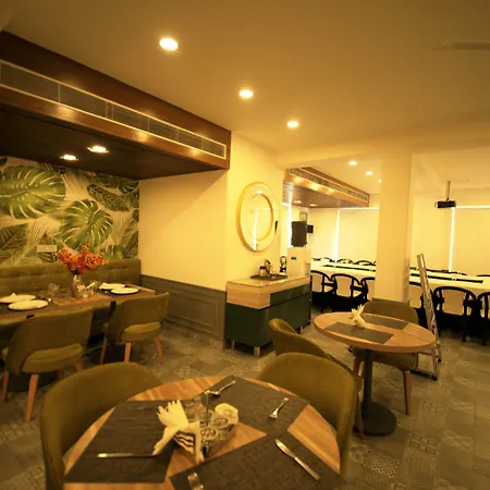 Hotel Palm Greens-3