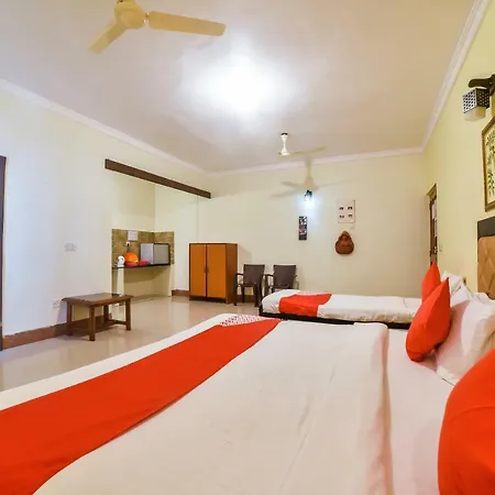 Oyo 29940 Tsk - The Golden Nest - Serviced Apartments-2